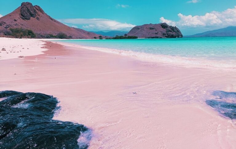 Komodo Shared Trip 2 Days 1 Night