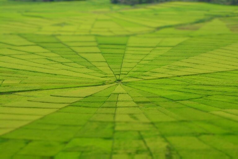 Flores Overland Trip 6 Days 4 Nights